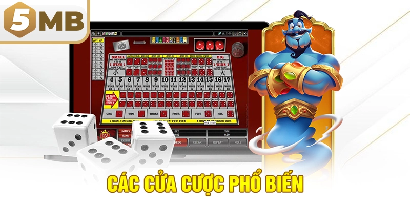 Các cửa cược phổ biến