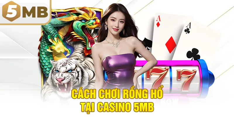 Cách chơi Rồng Hổ tại Casino 5MB
