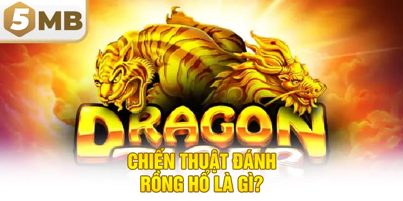 Chiến thuật đánh rồng hổ là gì?