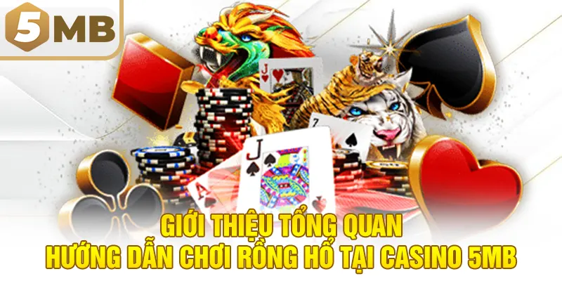 Giới thiệu tổng quan – Hướng dẫn chơi Rồng Hổ tại Casino 5MB