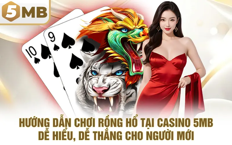 Hướng dẫn chơi Rồng Hổ tại Casino 5MB dễ hiểu, dễ thắng cho người mới