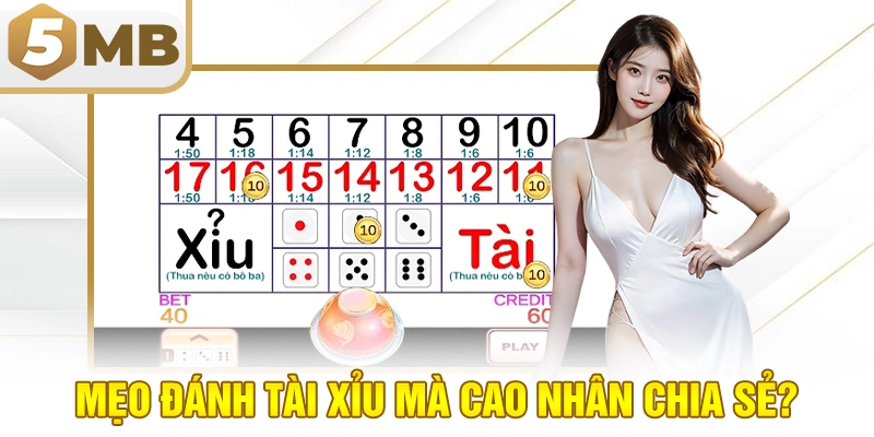 Mẹo đánh tài xỉu mà cao nhân chia sẻ?