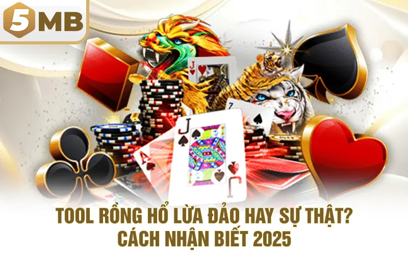 Tool Rồng Hổ Lừa Đảo Hay Sự Thật? - Cách Nhận Biết 2025